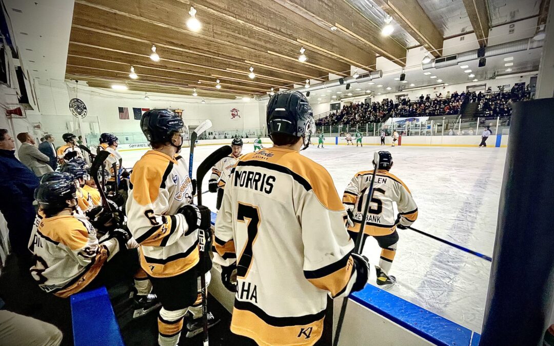 Wolverines Lose in Shootout