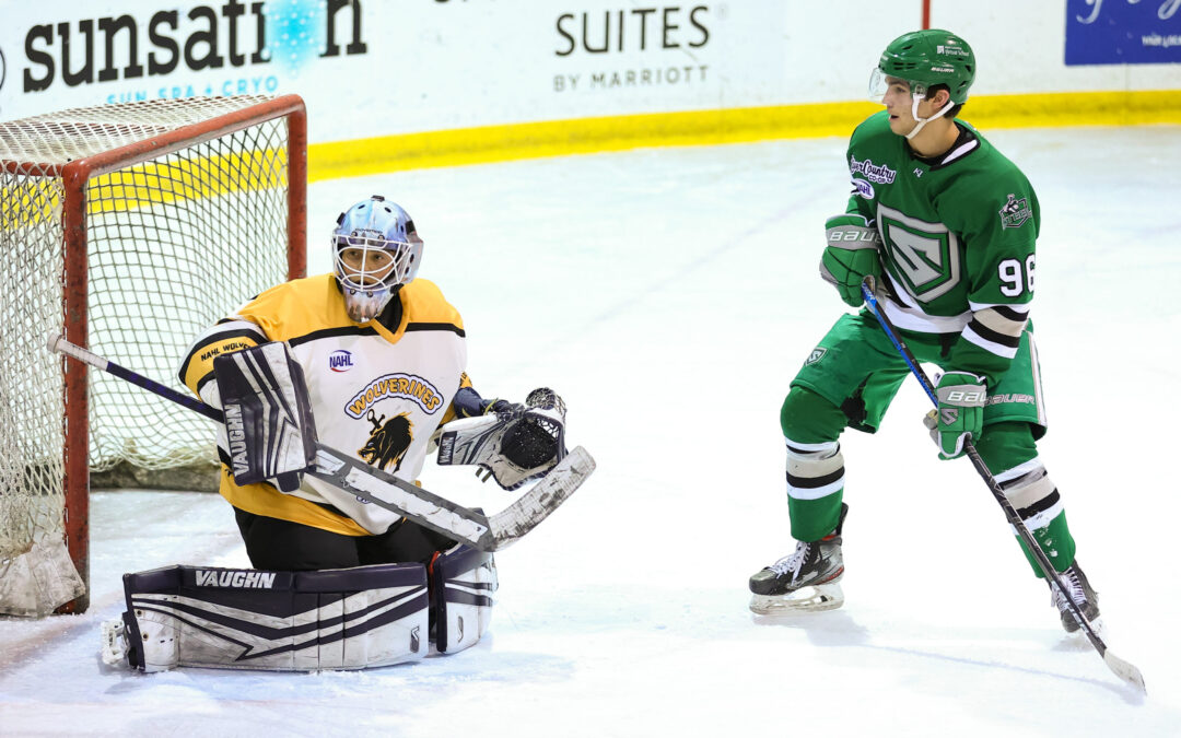 Wolverines Fall in Shootout, Hold onto Fourth Place