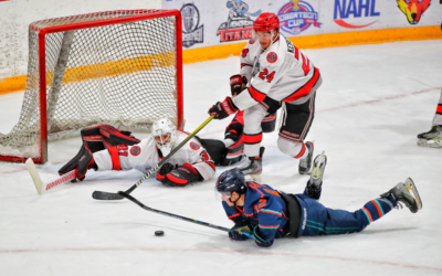 Wolverines Fall Short in Championship Game