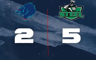 Chippewa Defeats Anchorage in Game Two of Series