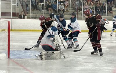 Wolverines Lose in Final Game of Showcase