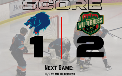 Wolverines Fall Short Against the Wilderness