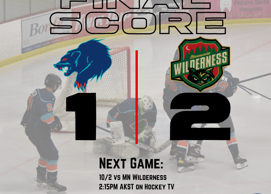 Wolverines Fall Short Against the Wilderness