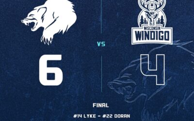 Four Unanswered Goals Lead to Wolverines Win