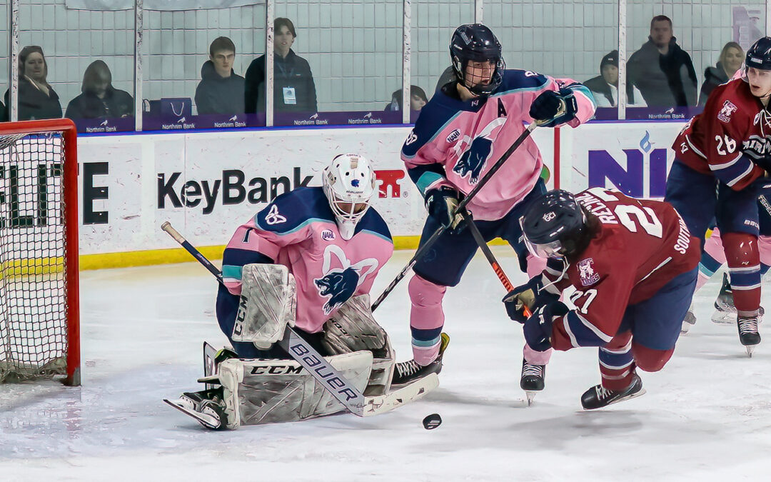 Anchorage Sweeps the Ice Dogs with Saturday Win