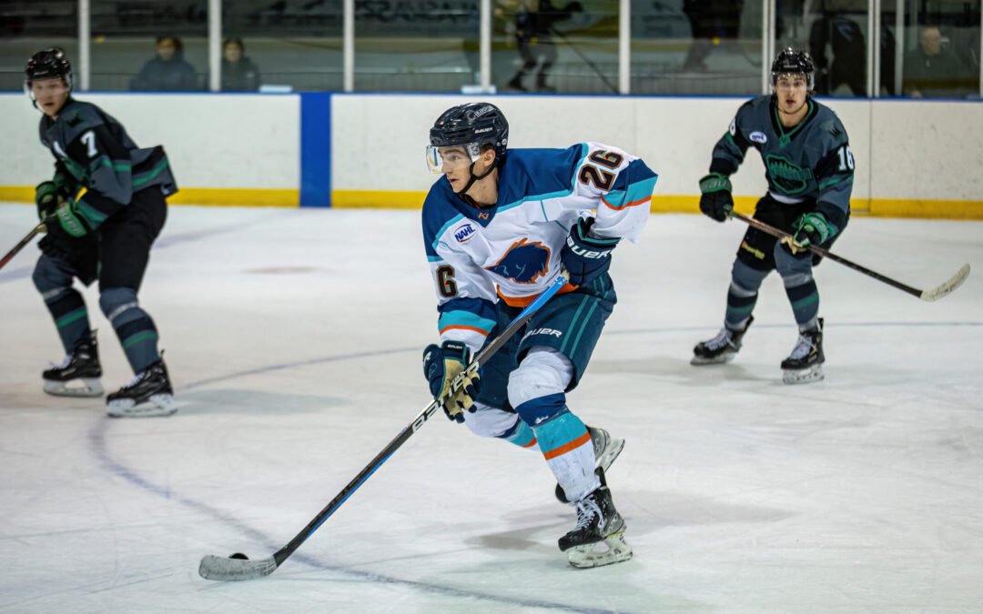 Wolverines Host Wilderness for Two-Game Series