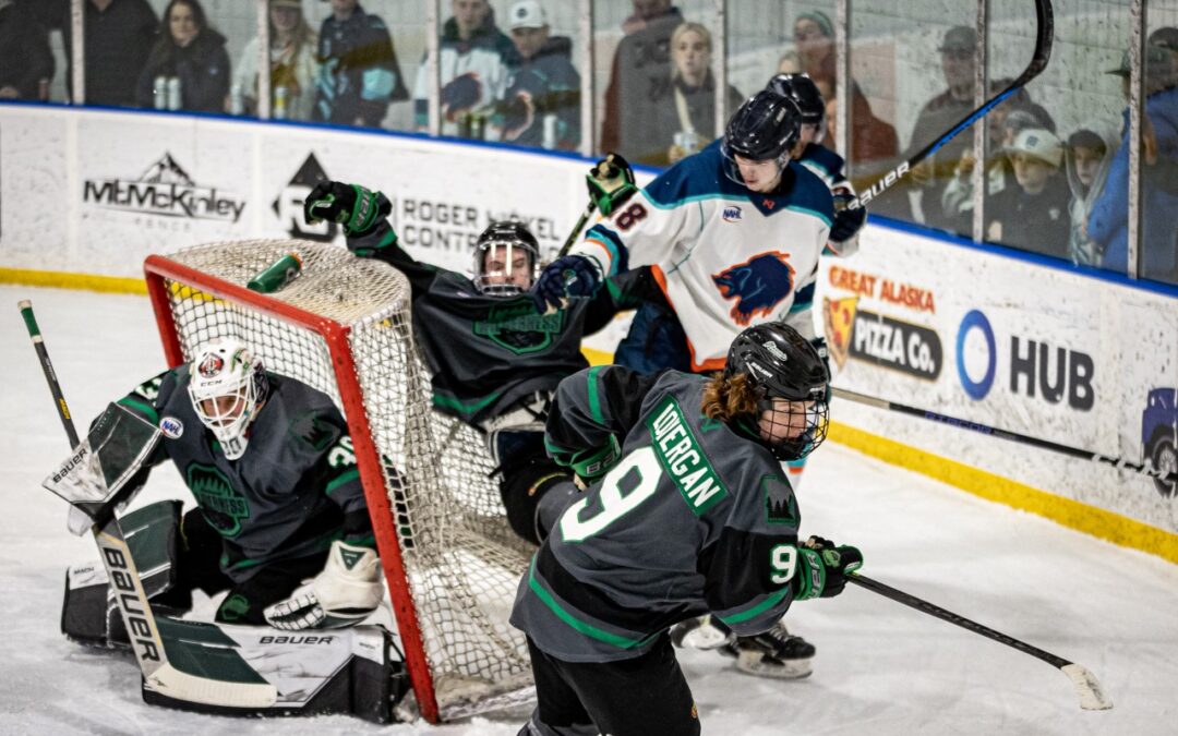 Anchorage Swept by Minnesota