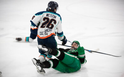 Wild 3rd Period Leads to a Wolverines Win