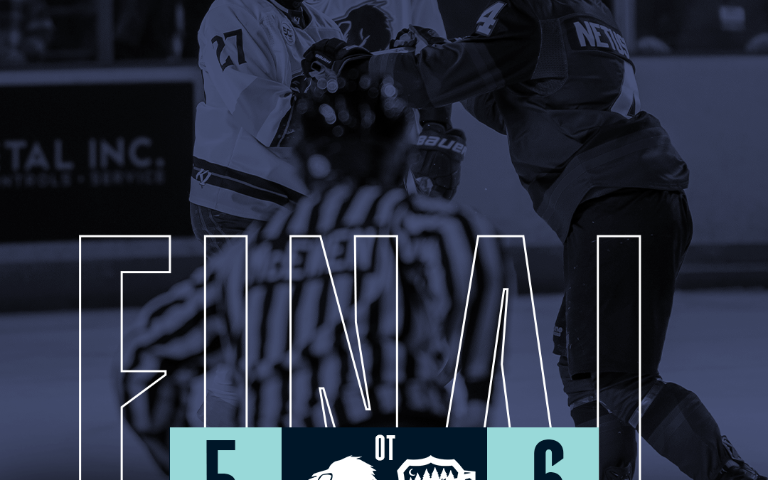 Wolverines outshoot 48 to 32, come up short in overtime
