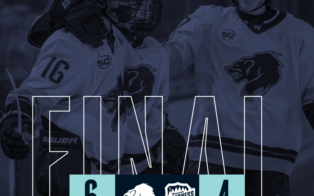 Wolverines fight back from two goal deficit to win 6-4