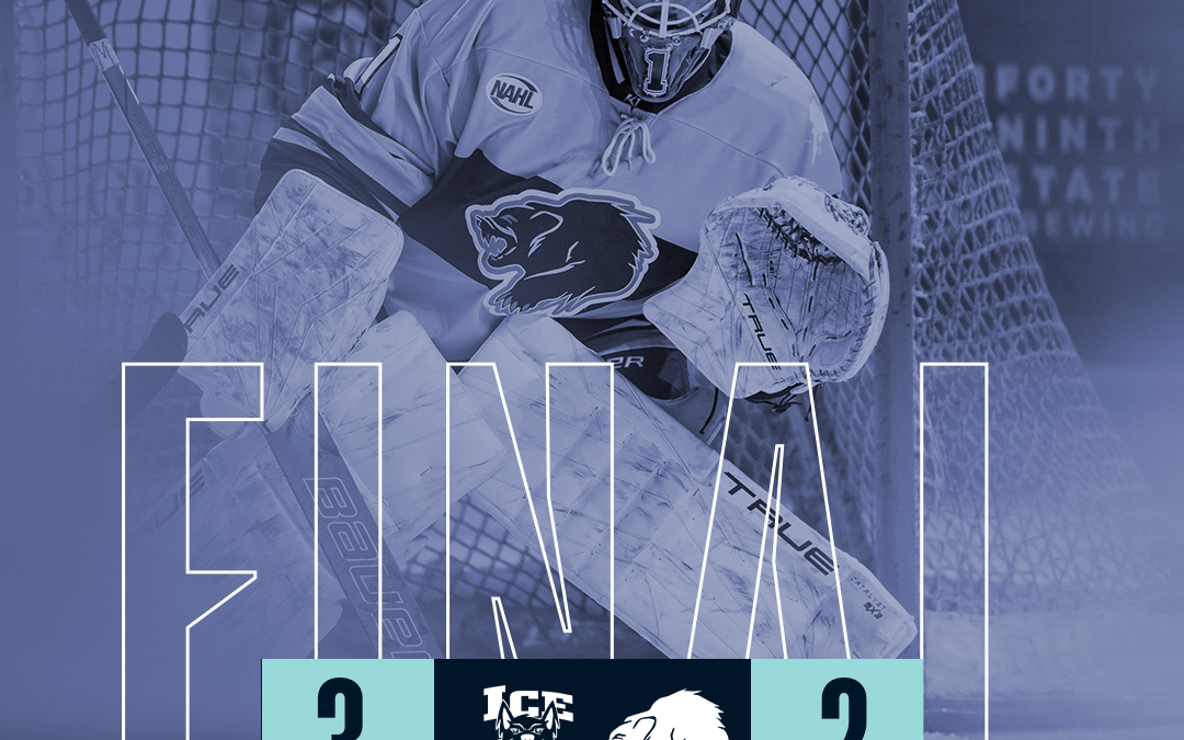Wolverines outshoot, fall in shootout