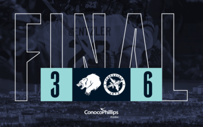 Wolverines comeback effort cut short by Jets