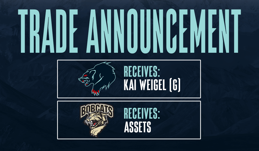 Anchorage adds depth in net with acquisition of Kai Weigel