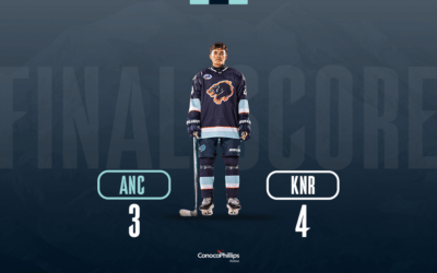 Win streak snapped in Soldotna as Wolverines fall 4–3