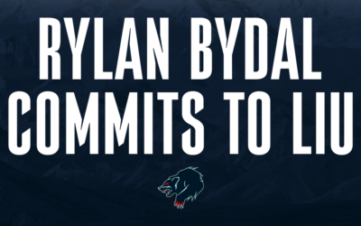 Wolverines Forward Rylan Bydal Commits to Long Island University