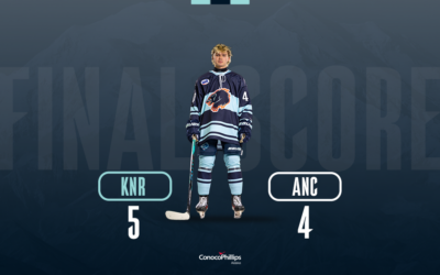 Wolverines fall in regular season finale