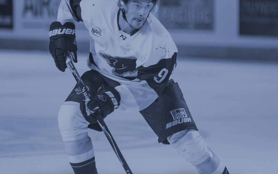 Wolverines rally from five-goal deficit, fall in shootout to Mallards